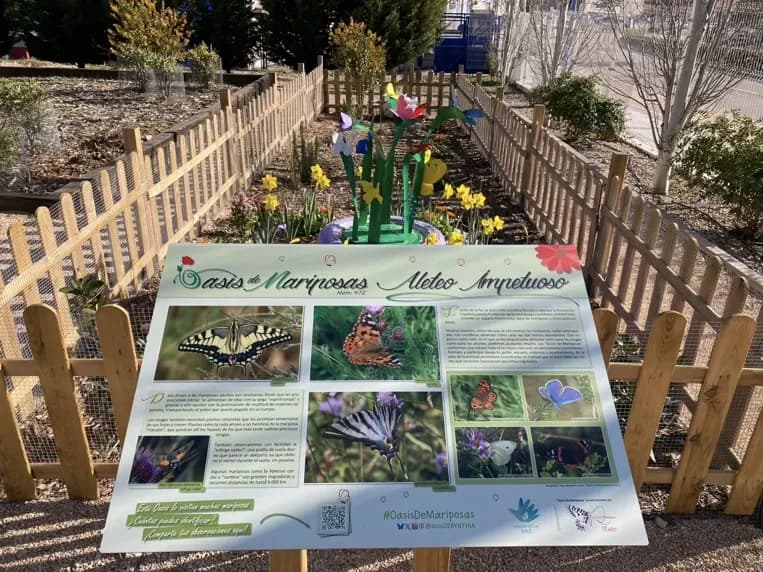 Oasis de mariposas - Imagen 1