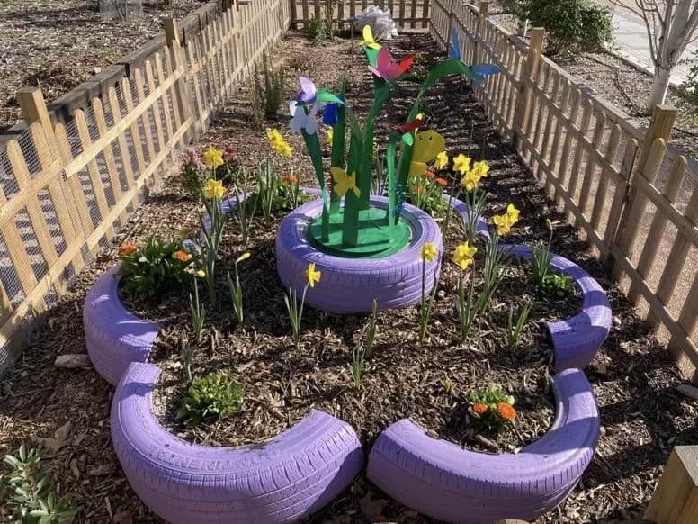 Oasis de mariposas - Imagen 2