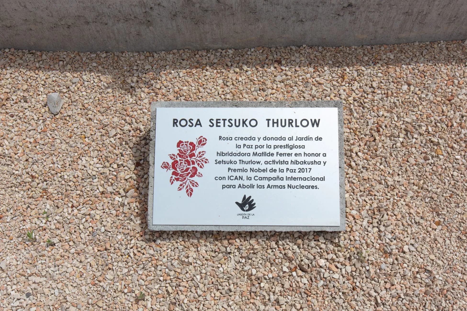 Rosa Setsuko Thurlow - Imagen 2